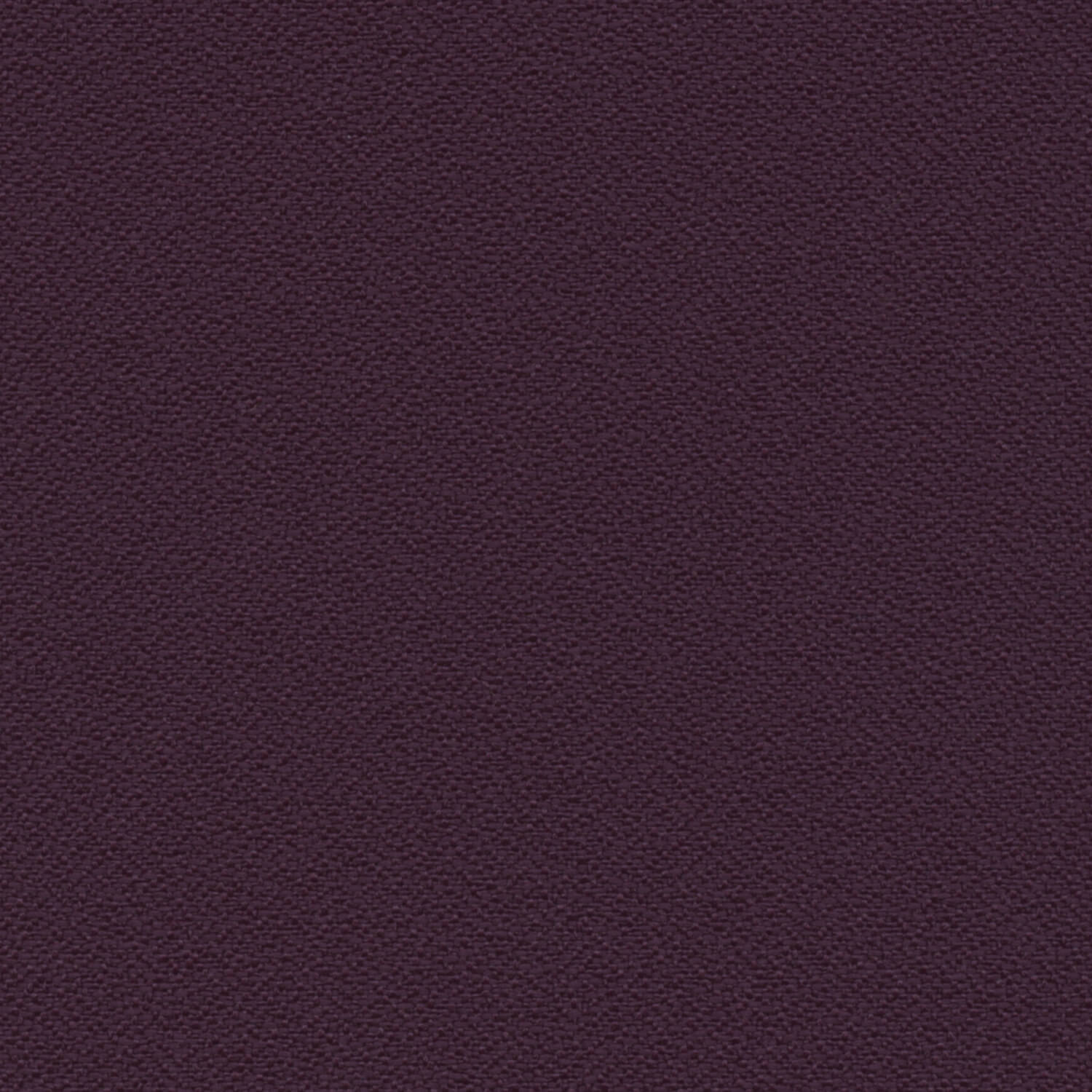 aubergine-2334-2036