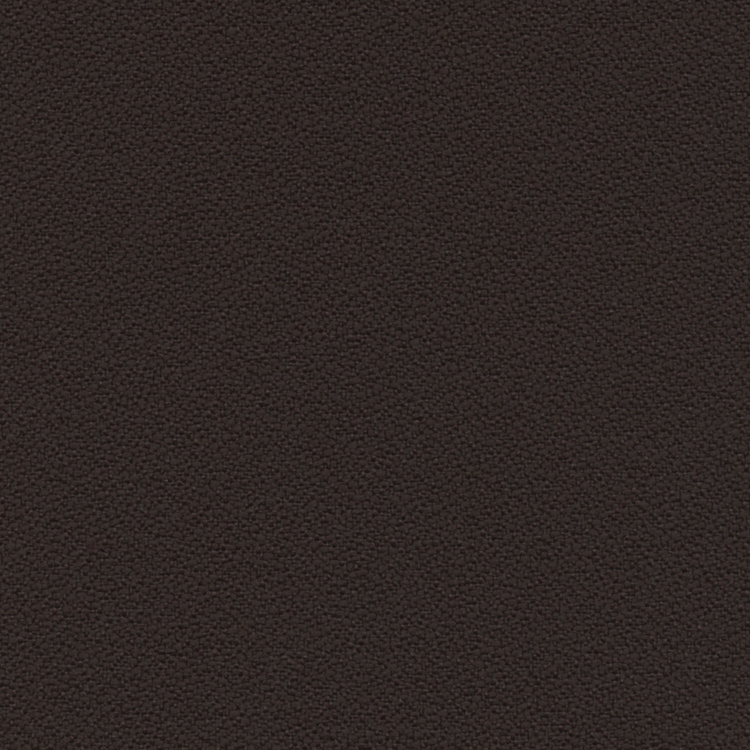 coffee-bean-2334-2083