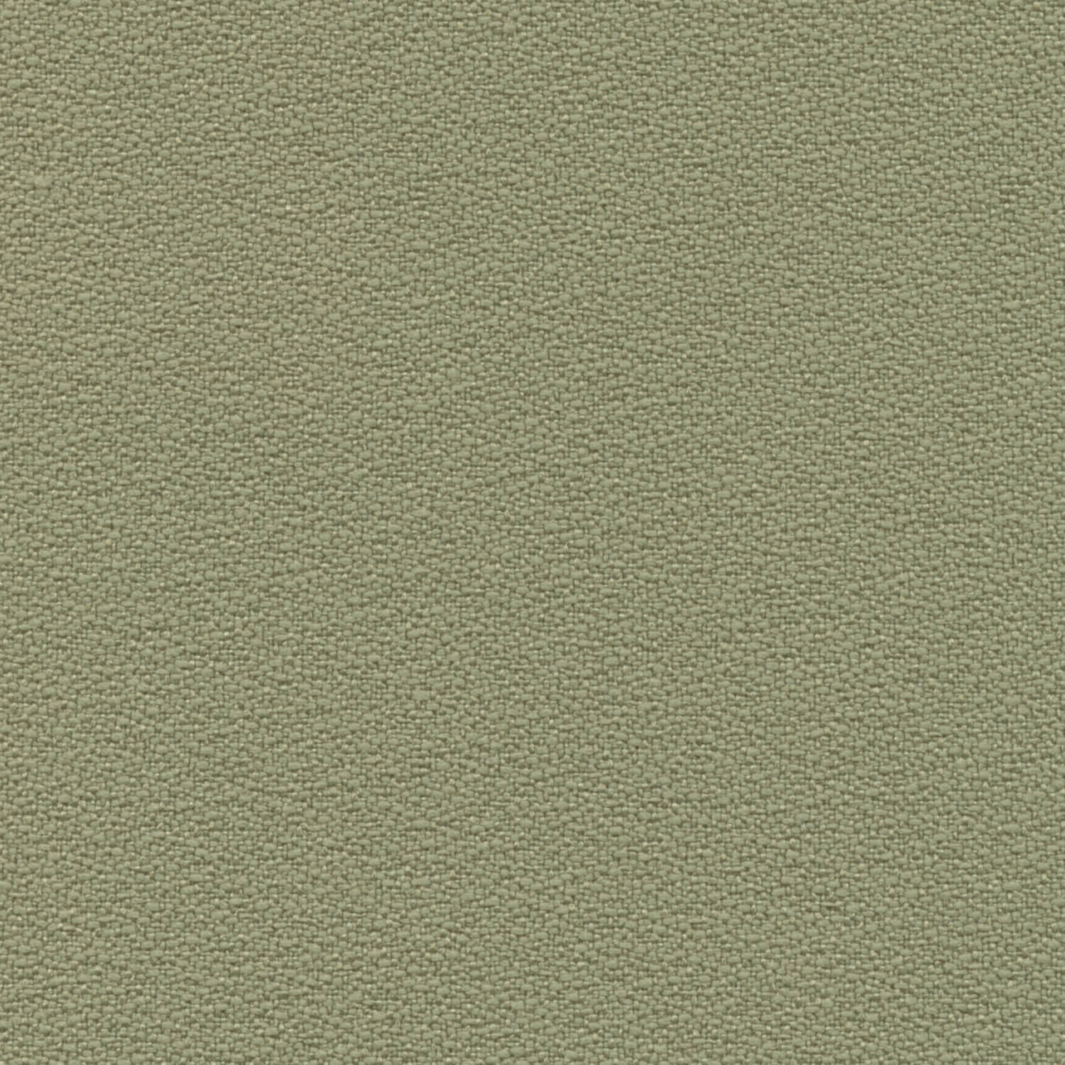 eucalpytus-2334-2047