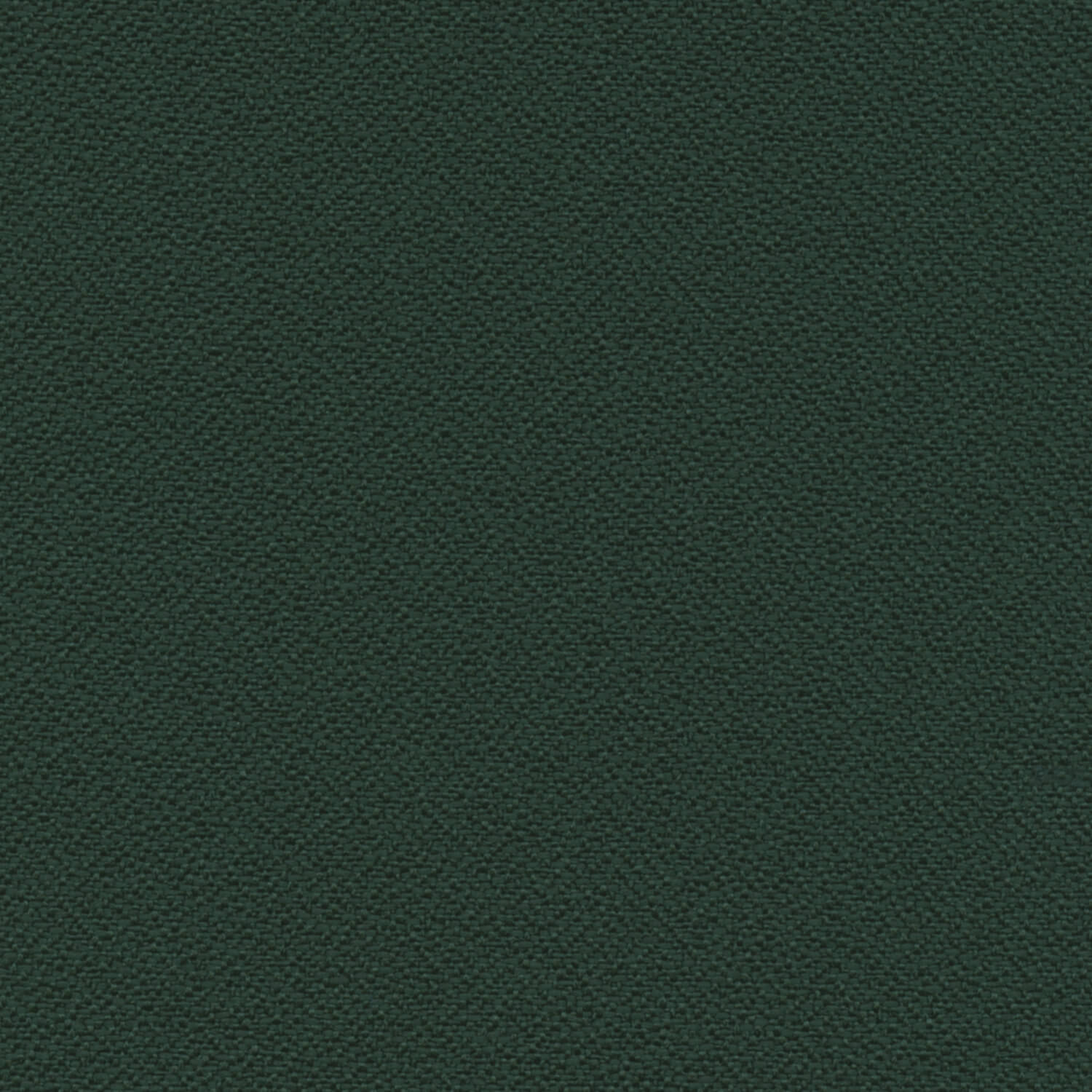 pine-needle-2334-2022