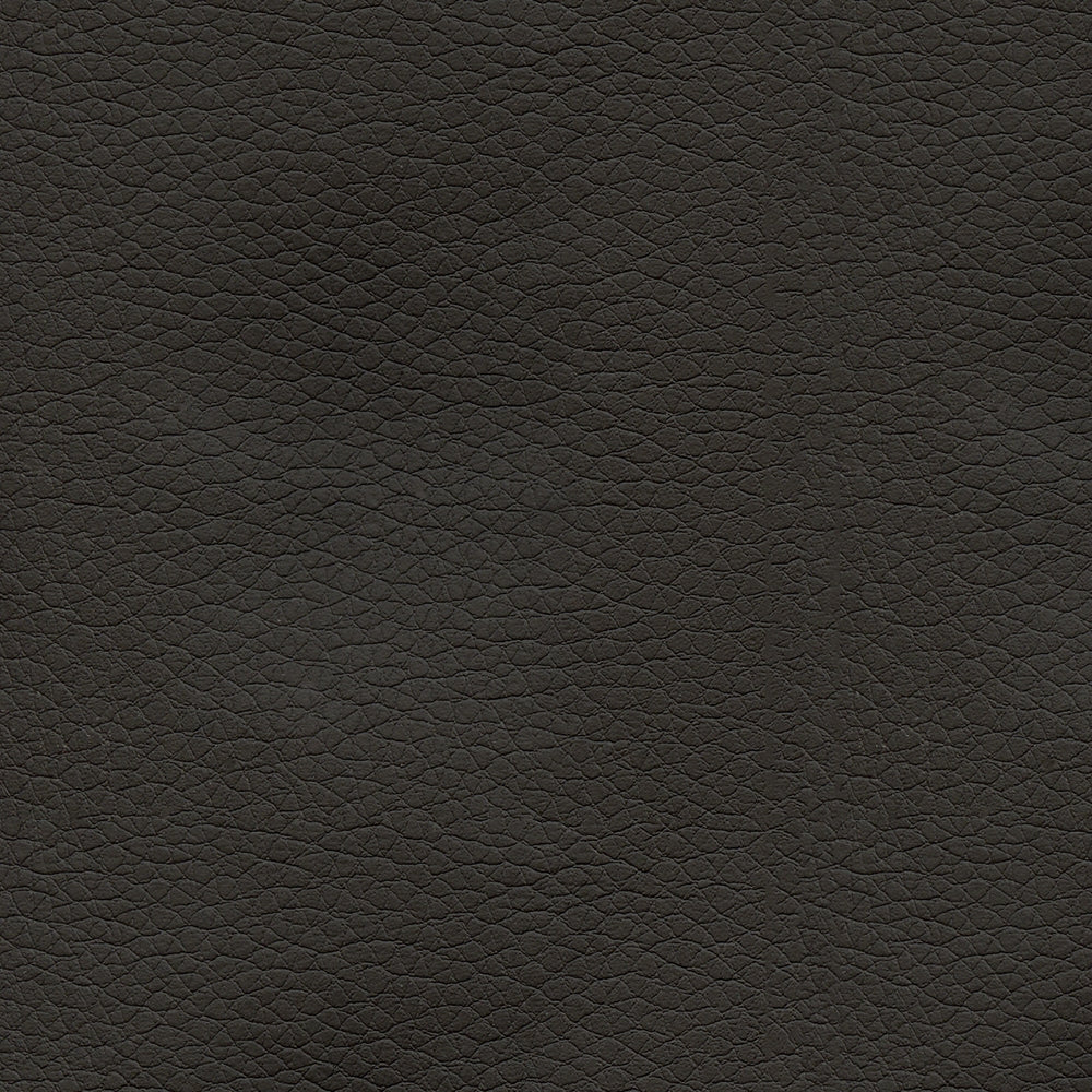 Chinchilla PREMI-6009