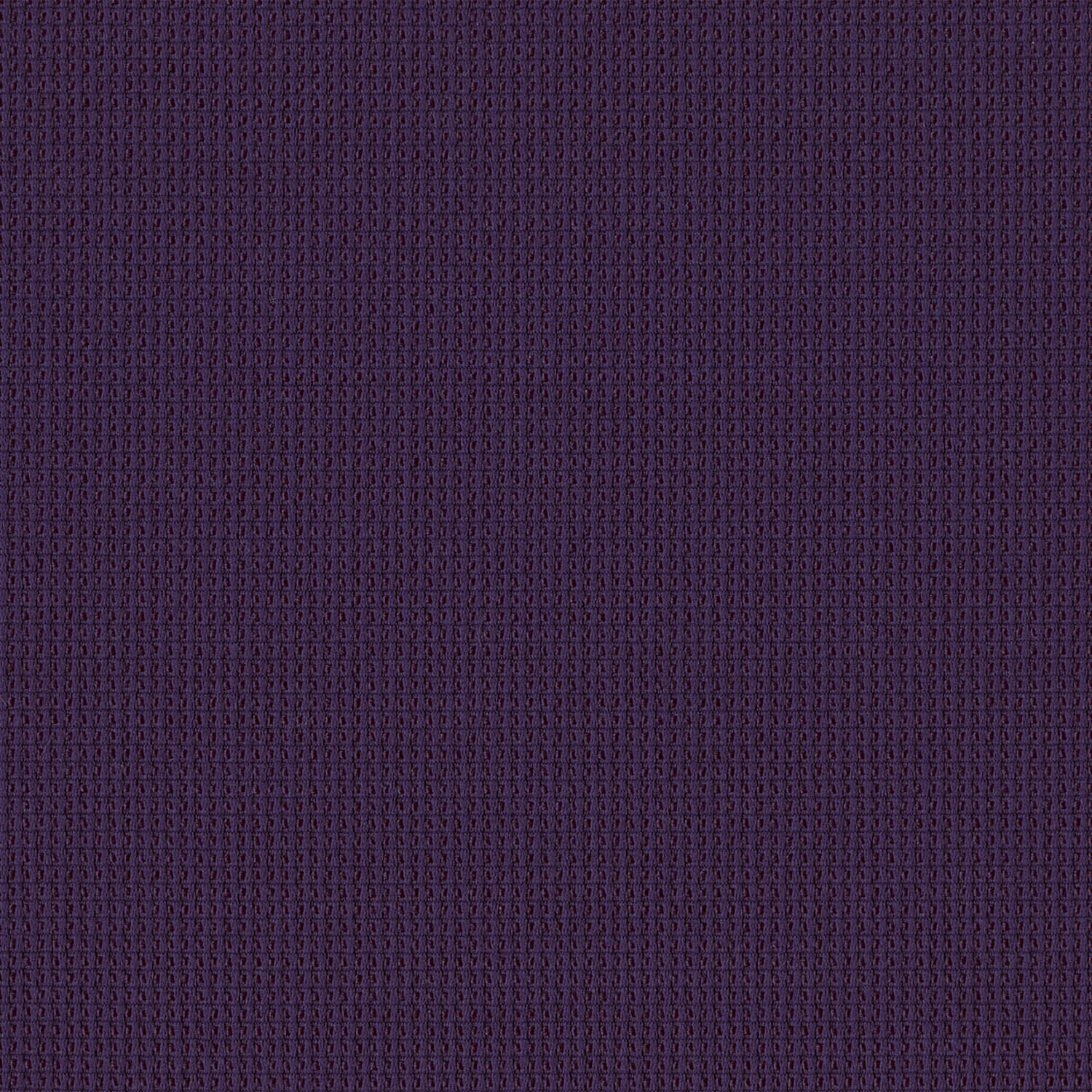 Elderberry 4732-1409