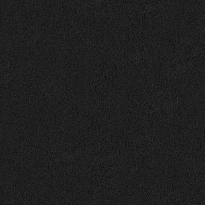 Premier Black (PR9009)