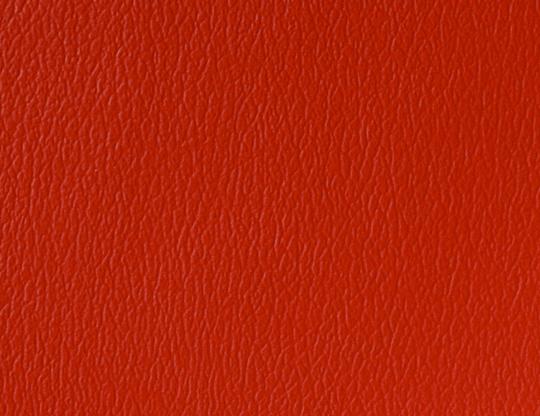 US360_American_Beauty