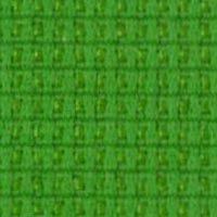 afgergo_0001_tp11-perroquet